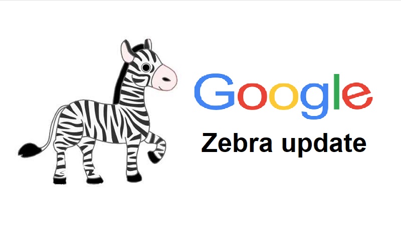 Những đặc điểm website đã bị Google Zebra phạt