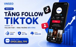 Dịch vụ tăng follow Tiktok