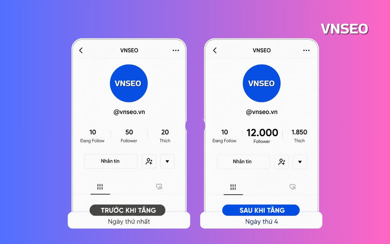 VNSEO chuyên cung cấp Dịch vụ tăng follow Tiktok
